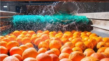 La producción de alimentos creció más del 1% en el primer semestre