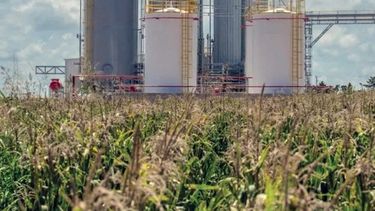 La producción de bioetanol de maíz crecerá casi un 3 por ciento