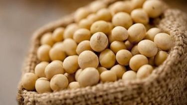 Los granos tuvieron subas superiores a 2% en Chicago