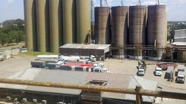 Empresarios molineros en contra el fideicomiso del trigo