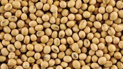 Condiciones climáticas en EE.UU. impulsaron a los granos en Chicago