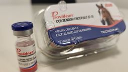 En el caso de animales que se vacunan por primera vez, se deberán revacunar entre 3 y 4 semanas posteriores a la primera dosis.