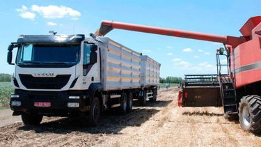 Transportistas de carne, animales, vegetales y granos no necesitarán el COT
