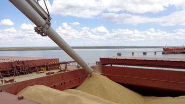 Anticipan una merma en las exportaciones de trigo equivalente al 48%