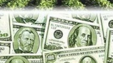 La Argentina perdería ingresos por casi U$S 1.000 millones por la caída de la soja