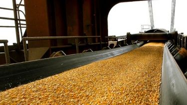 Entrada de maíz al Gran Rosario impuso un récord de 15 años en 2017