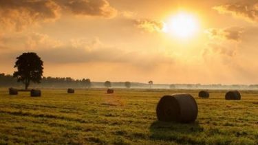 Los productores esperan acabar con la sequía económica en Argentina