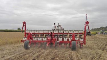 Confirman que se sembraron menos de 12.5 millones de hectáreas de soja