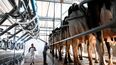 El rendimiento de la agroindustria.