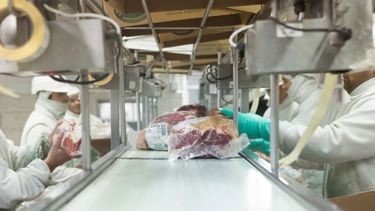 Afirman que un 80% de los frigoríficos puede cumplir con el troceo