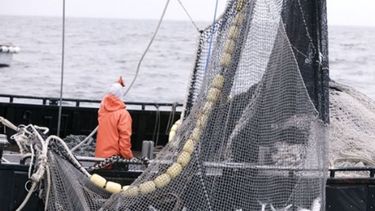 La pesca tuvo un avance mayor a 7% en el primer semestre