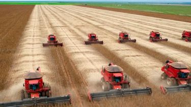 Recortan la previsión de cosecha de soja de Brasil para 2021