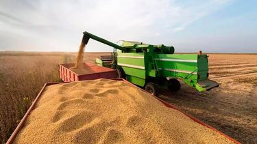 Brasil redujo estimaciones sobre la producción de maíz y soja