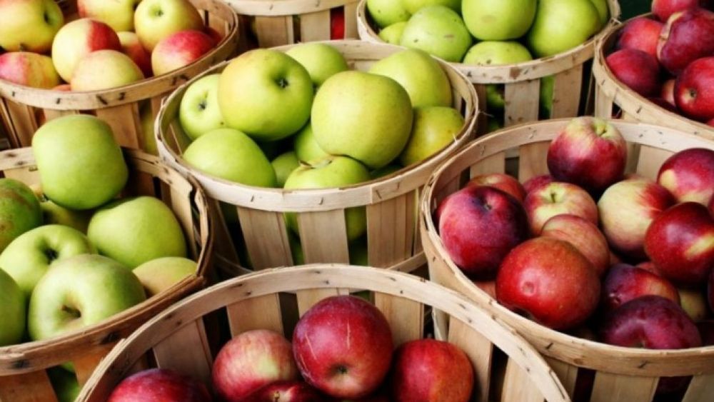 AFIP extendió beneficios para productores de peras y manzanas
