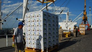 Exportaciones de alimentos argentinos a México podrían devengar U$S 9 mil millones