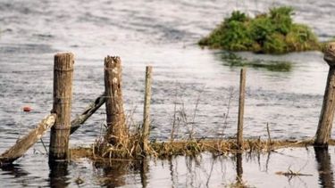 Provincias piden ser colocadas bajo "emergencia agropecuaria"