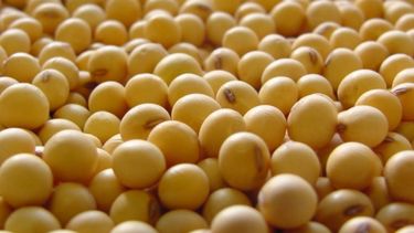 Importaciones chinas de soja impusieron nueva marca en julio