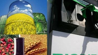 Continúa beneficio impositivo para el biodiesel
