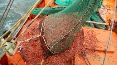 La pesca generó el año pasado 2 mil millones de dólares