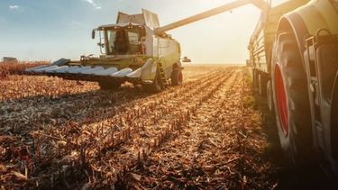 El Estado se queda con el 57% de la renta agrícola