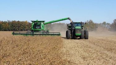 Soja: proyectan una producción mayor a 6 millones de toneladas