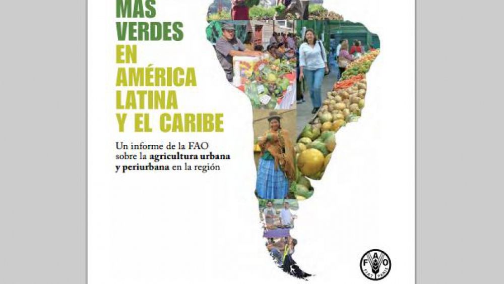La FAO cree que la agricultura de América Latina necesita más apoyo gubernamental