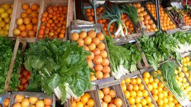 Diseñan fondo para evitar mayores aumentos en los precios de las frutas y verduras