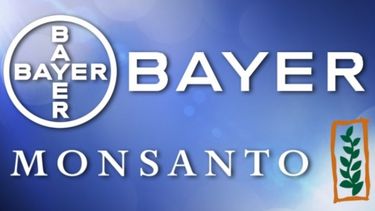 Concentración en el mercado de agroquímicos: controlan la operación Monsanto-Bayer