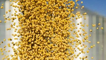 Sudamérica tiene una "total" dependencia de las materias primas