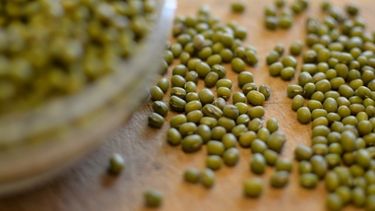 Exportaciones de poroto mung van en alza