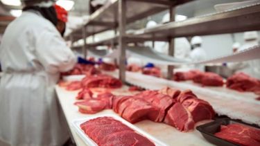 Prevén un aumento de la demanda mundial cárnica sobre la oferta exportable
