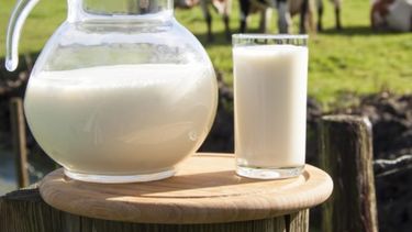 La producción de leche creció más de 7% en el primer semestre