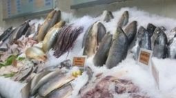 Creció más de un 25% el consumo de productos pesqueros hasta abril