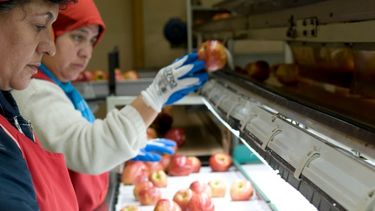 Agroindustria impulsa créditos para la producción agropecuaria