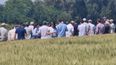 Respuestas para los agricultores.