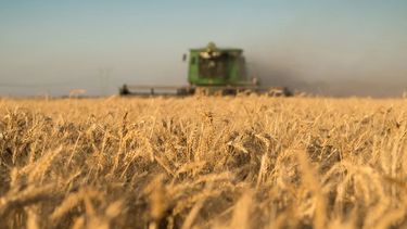 El rendimiento del campo argentino.