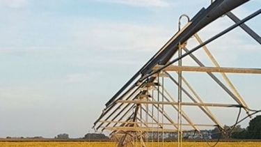 El Banco Mundial aportará US$ 150 millones para combatir la sequía