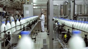 Cambio de tendencia en la industria láctea: las PYMES avanzan en las góndolas