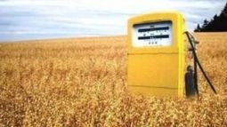 Agroquímicos y biocombustibles, grandes ganadores de la economía argentina