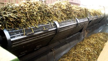 La modernización del comercio exterior argentino.
