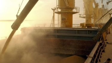 La agroexportación avanzó cerca de un 50% la semana pasada