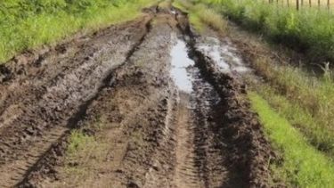 Casi la mitad de los caminos rurales de la pampa húmeda está en "mal estado"