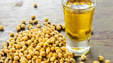 La soja y el girasol fueron los protagonistas del campo argentino en lo que va del año