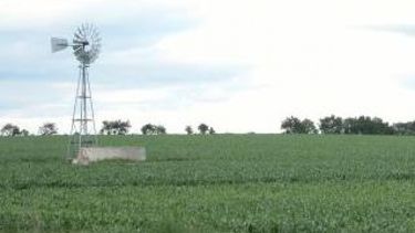 Guía Estratégica del Agro advierte sobre suelos saturados y dificultades en la siembra