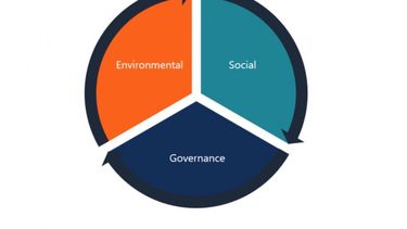 Gestión sostenible: de diferencial a ser una necesidad