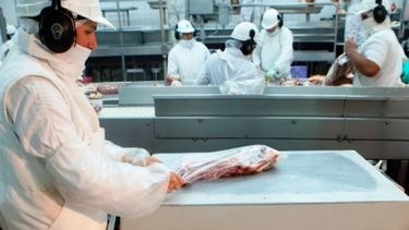 Las exportaciones de carne bovina crecieron casi 70% en un año