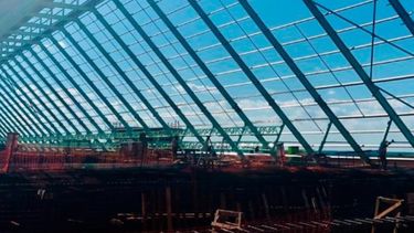 Argentina tendrá su primera planta de energía a partir de biomasa forestal