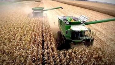 Descartan la aplicación del impuesto a la renta inesperada al campo