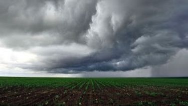 Pifias en los pronósticos del clima caracterizaron la campaña agrícola 2016-2017