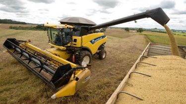 Agroexportadores liquidaron US$ 2.802 millones en el primer trimestre